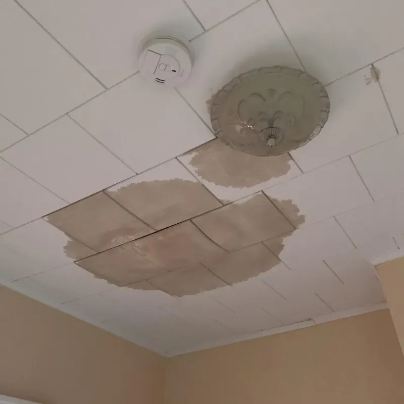 Ceiling Water Damage Repair in Bridgewater, MA