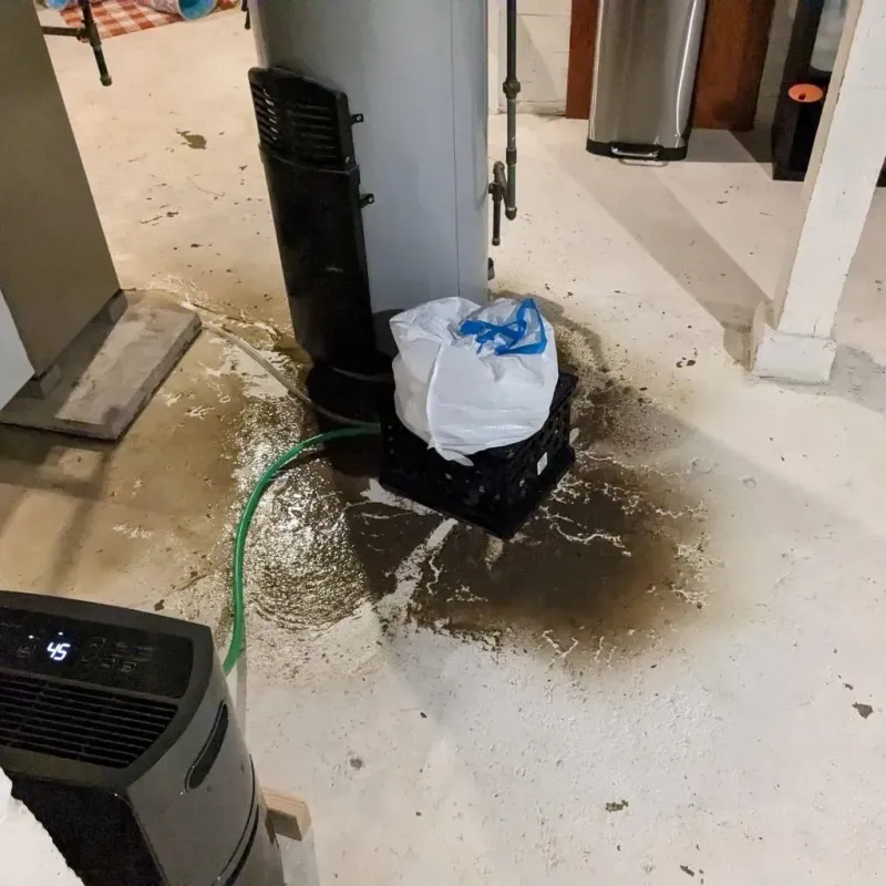 Sewage Backup Cleanup Service in Bridgewater, MA